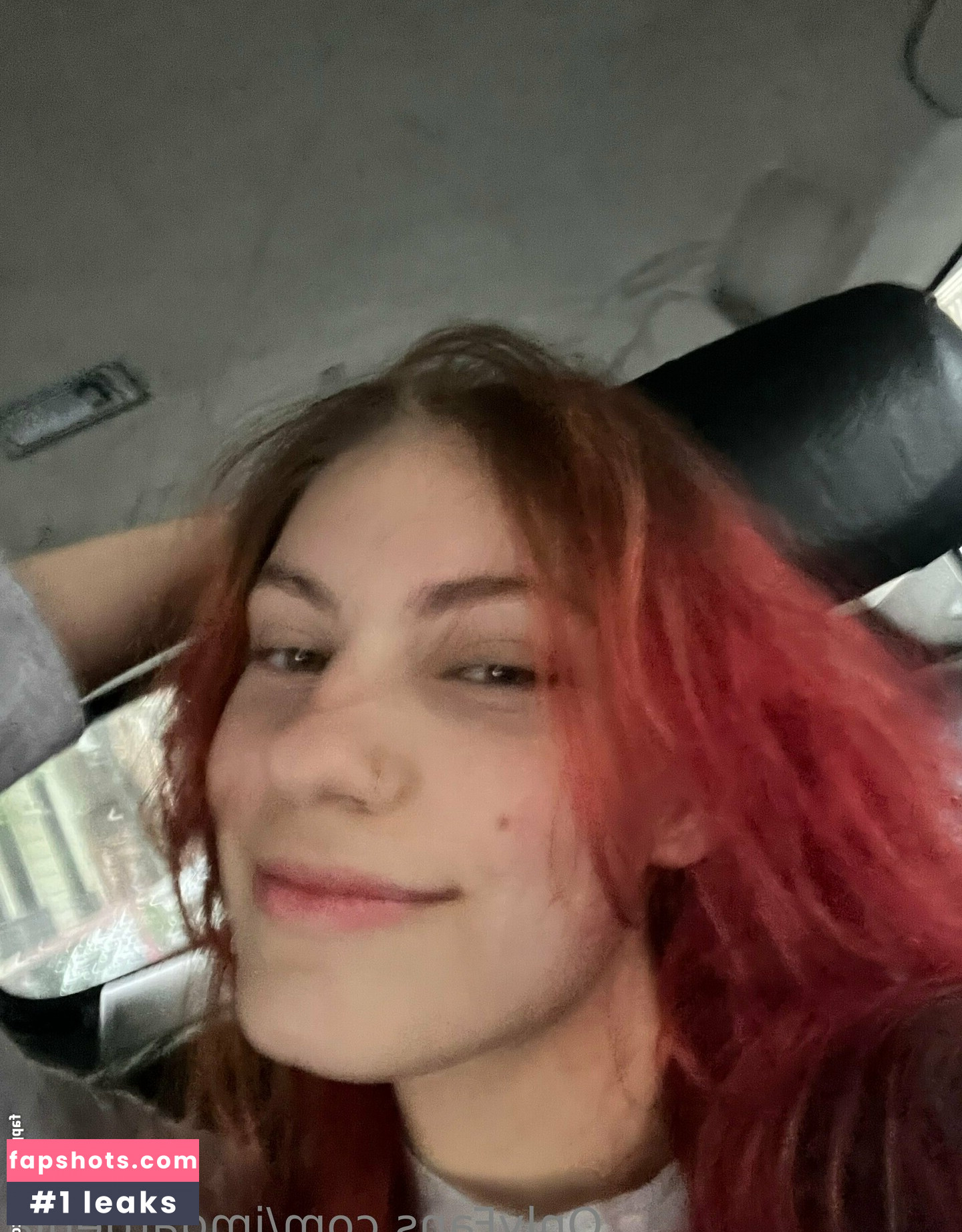 imgardenia gallery photo #3