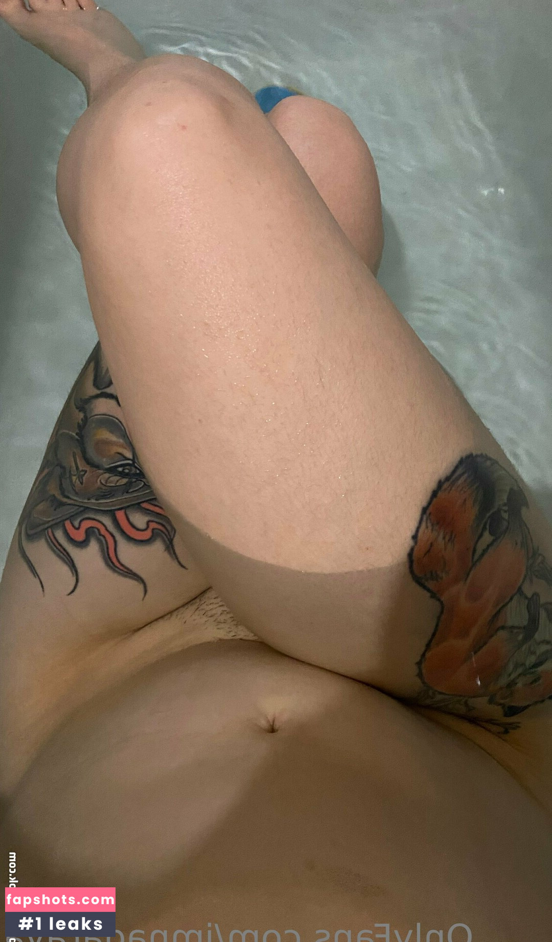 imnagaraya gallery photo #19