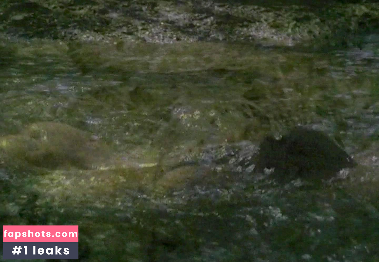 Imogen Stubbs gallery photo #16