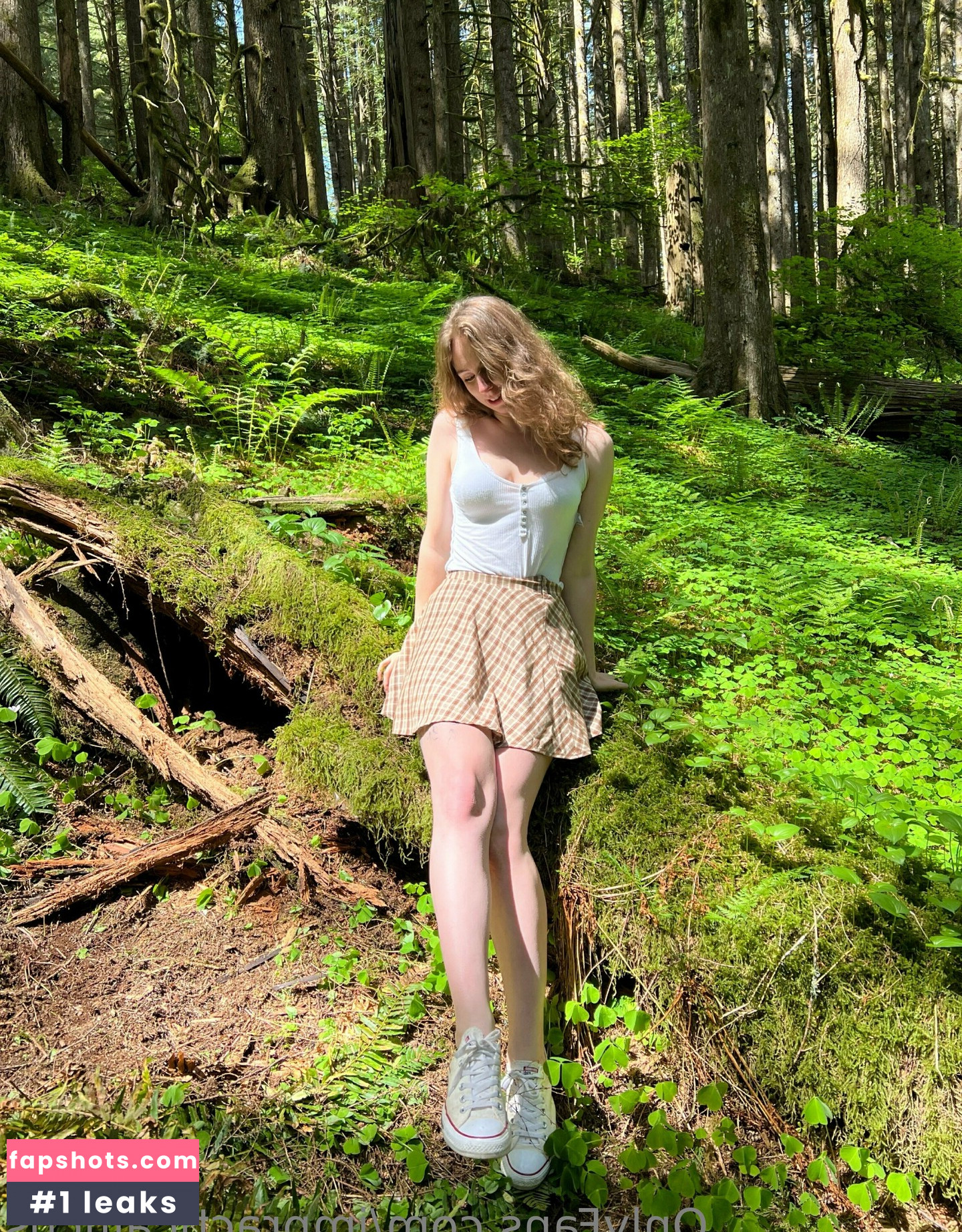 impracticalficus gallery photo #24