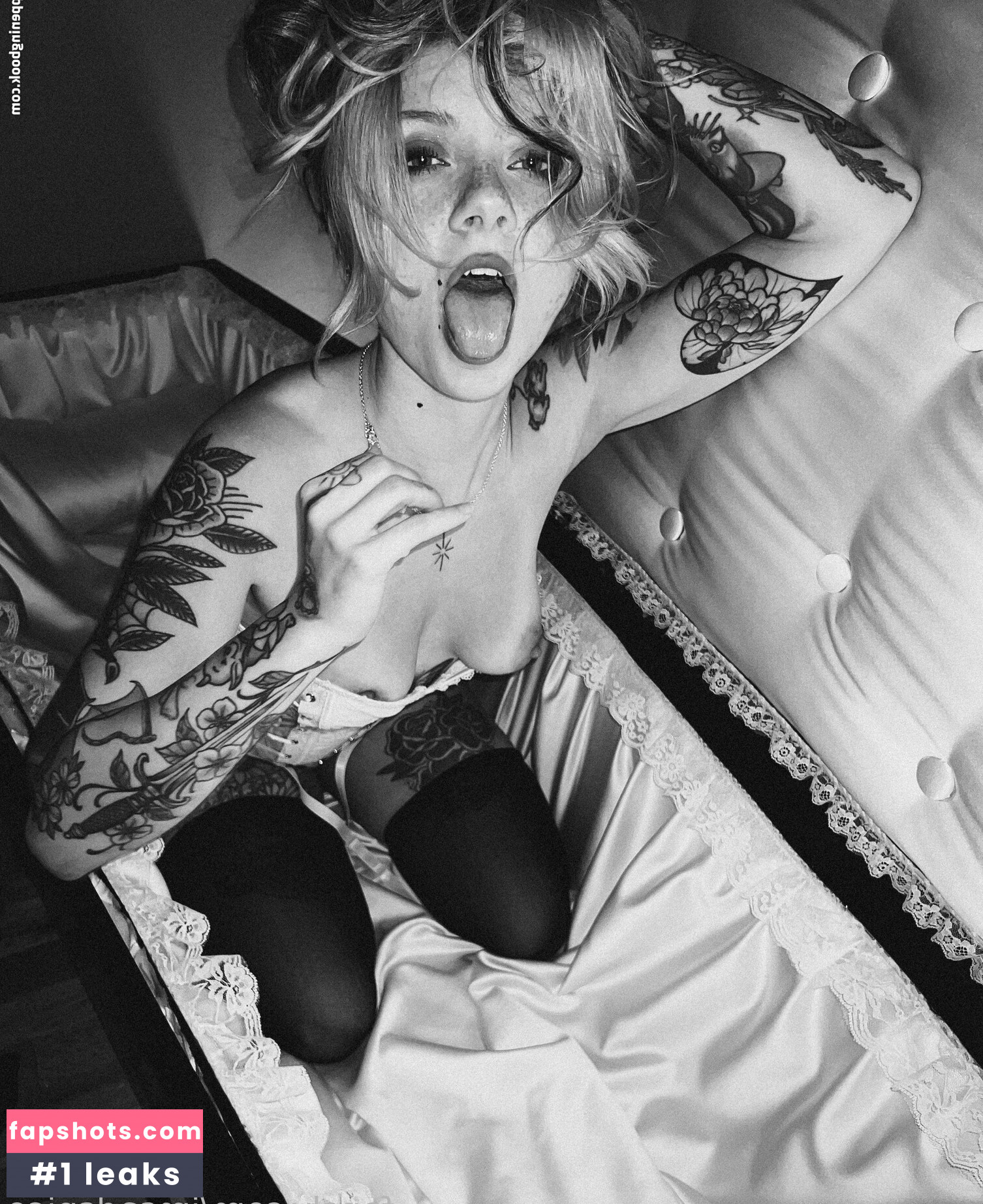 imsadspice gallery photo #142