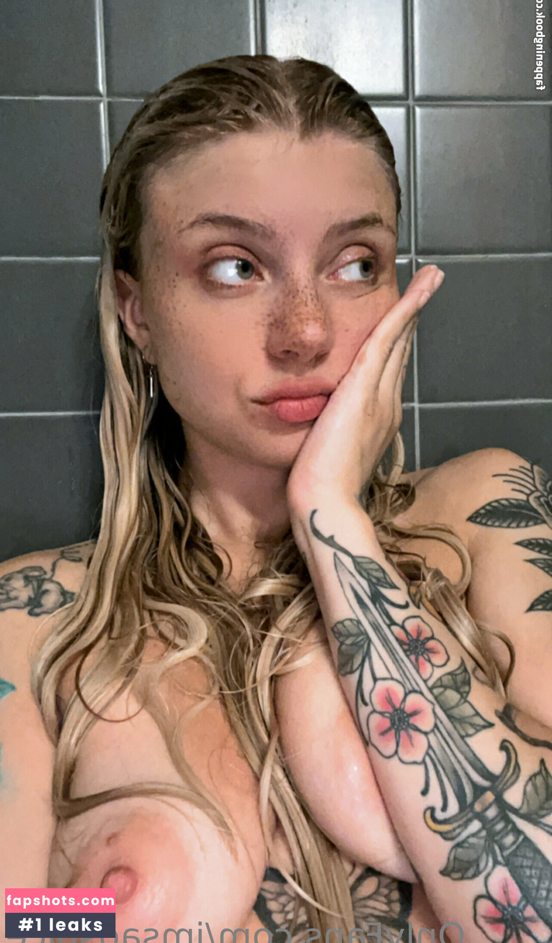 imsadspice gallery photo #170