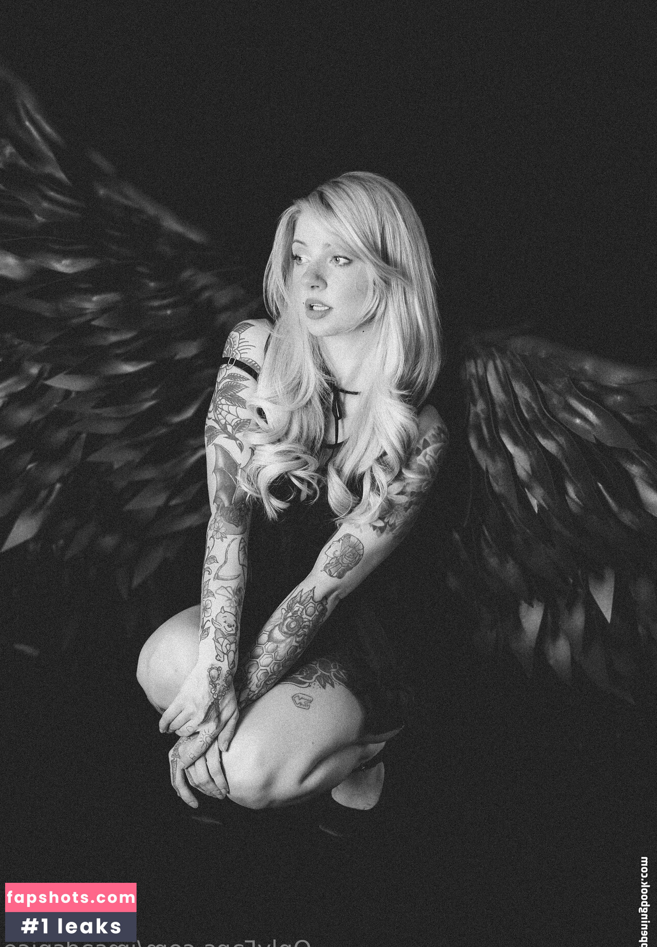 imsadspice gallery photo #85