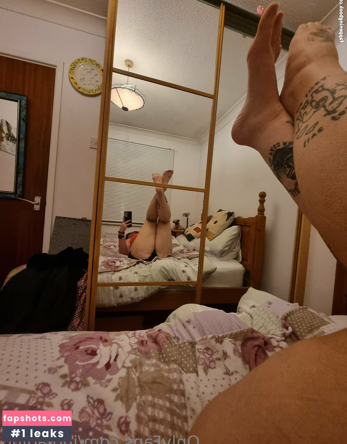 indiadino gallery photo #4