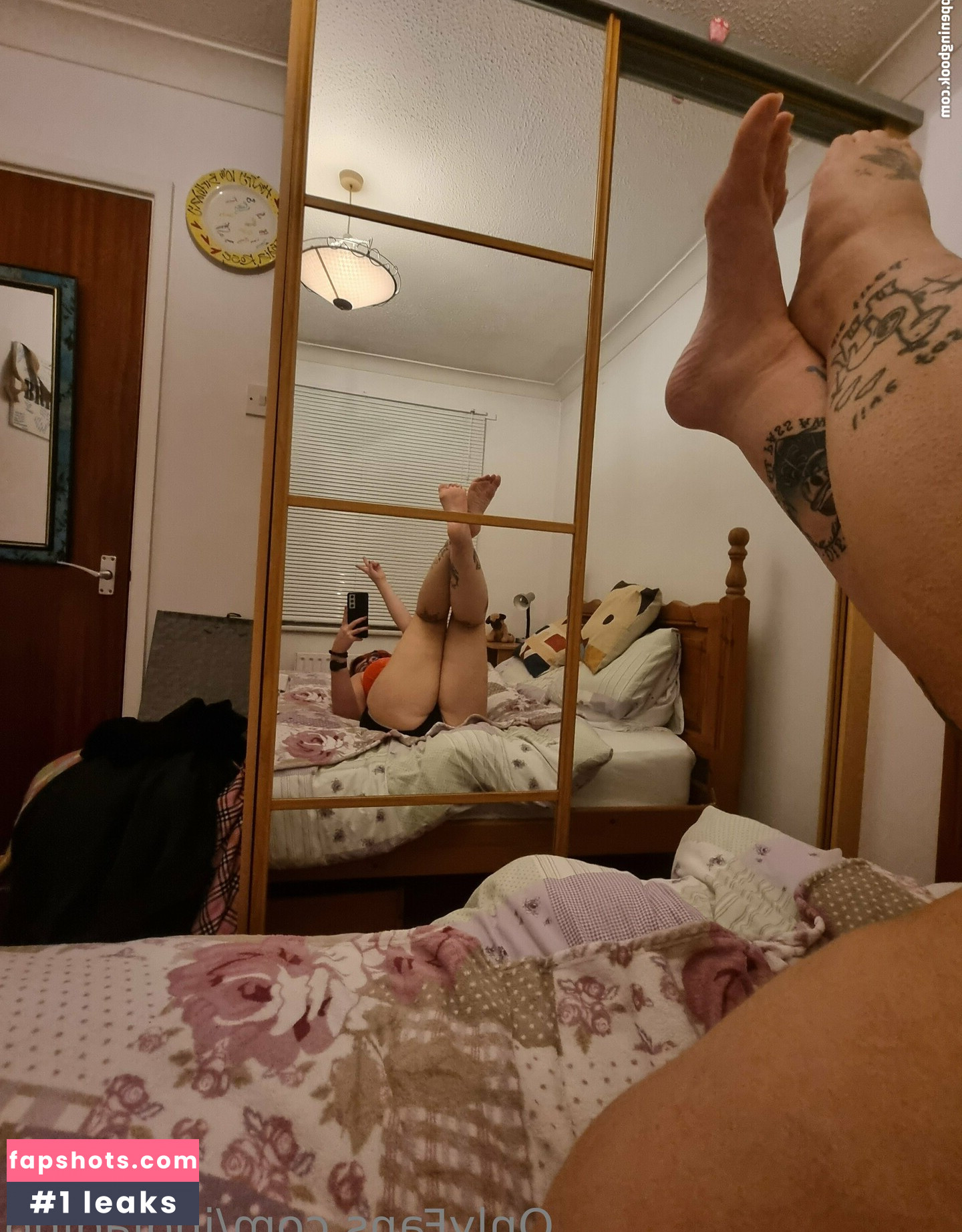 indiadino gallery photo #7