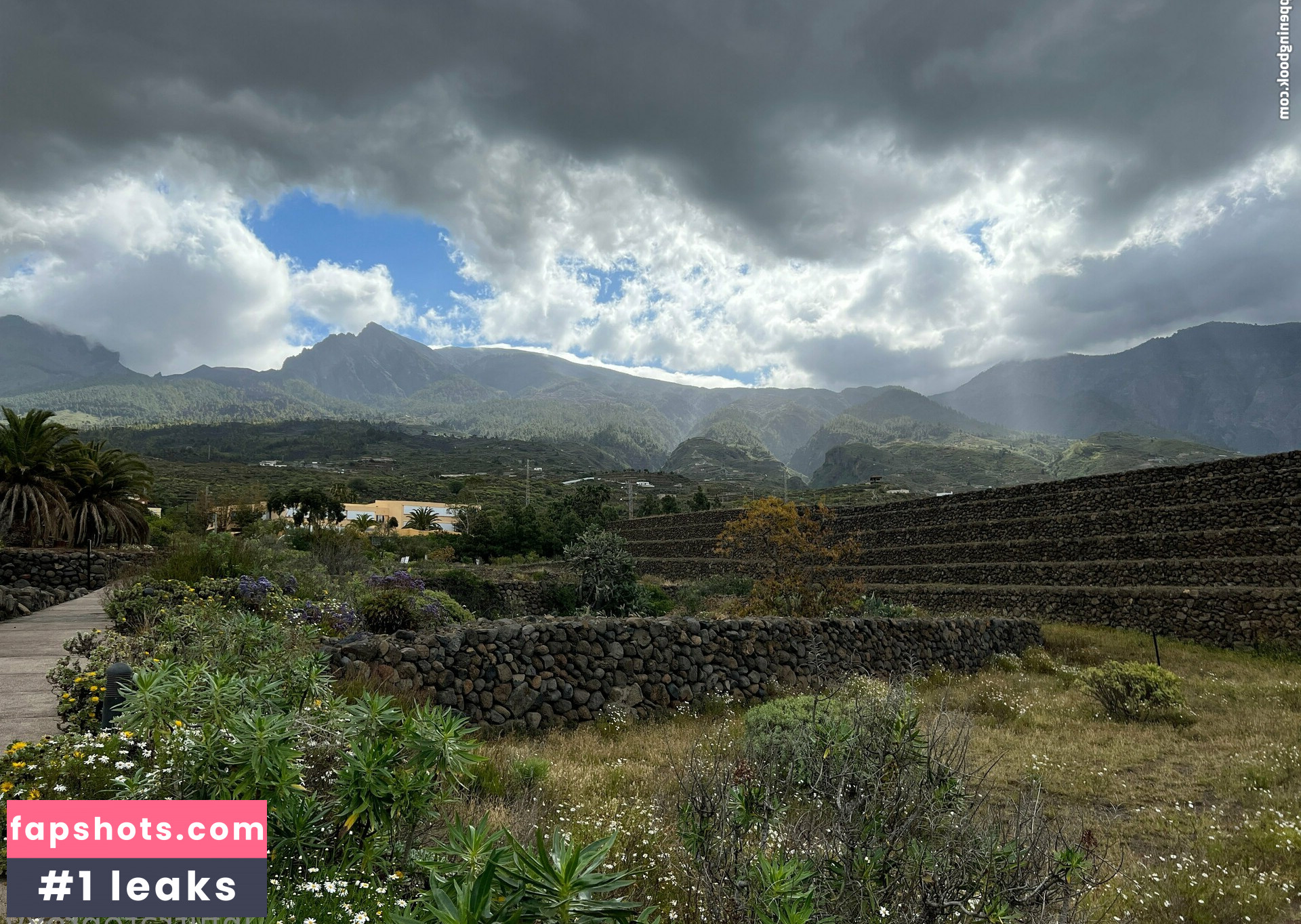 infiltrateproxy gallery photo #49