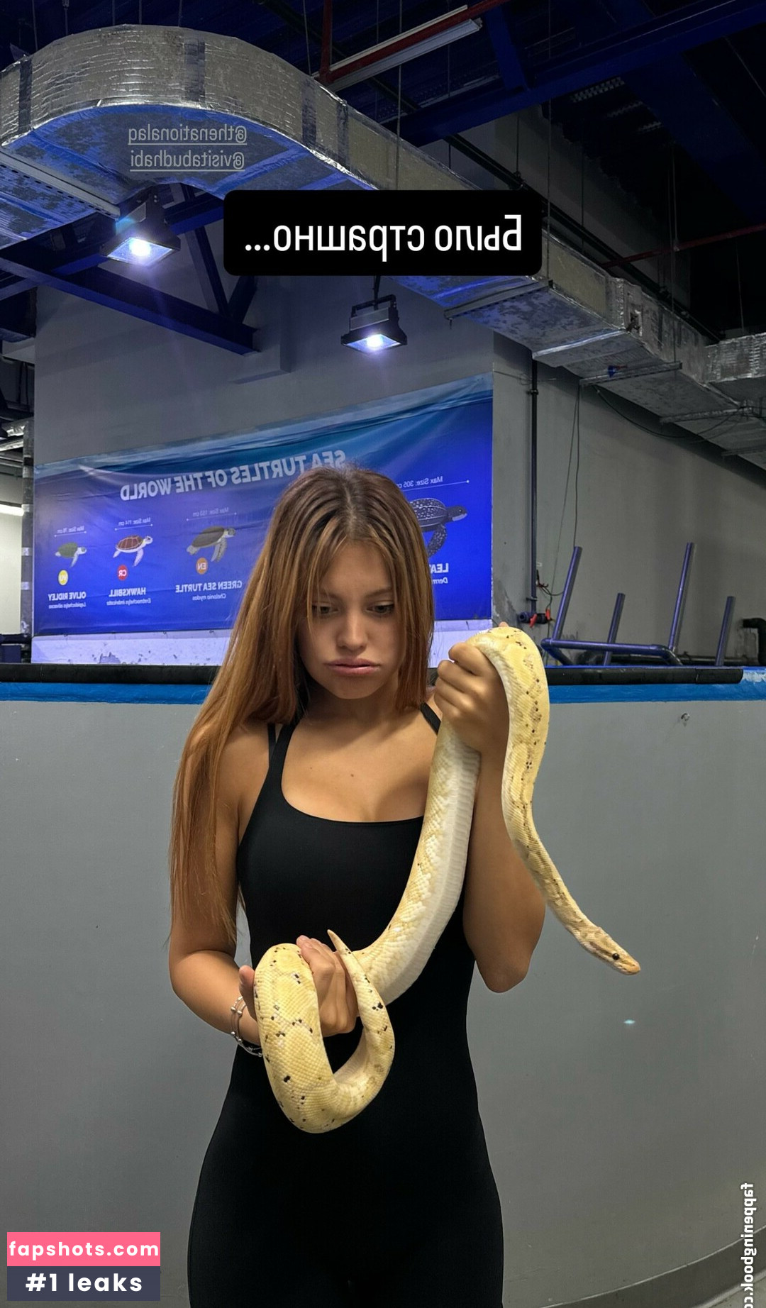 influesii753 gallery photo #10