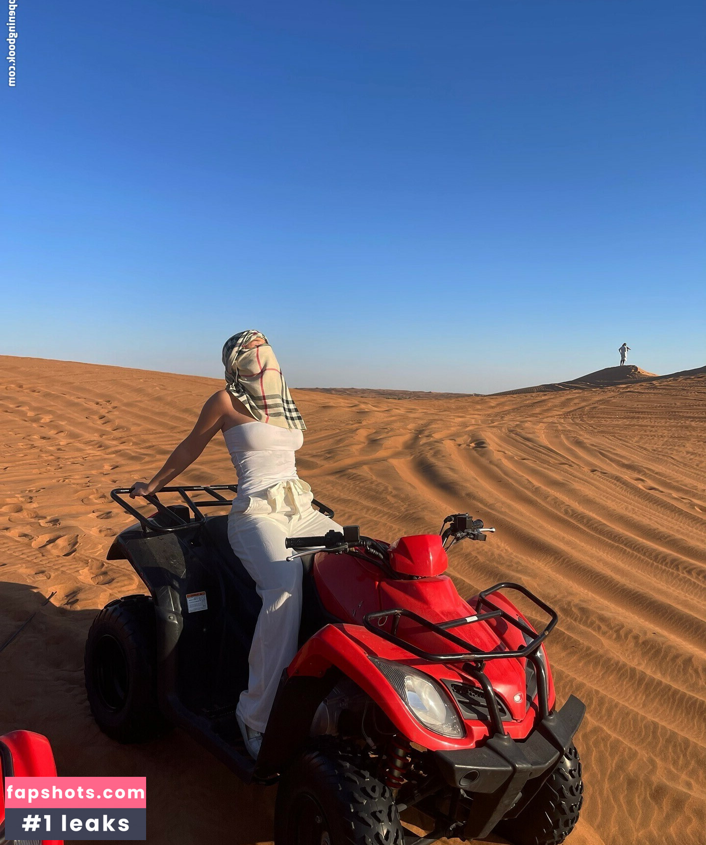 Ingeborg Anna Matilde Hansen gallery photo #2