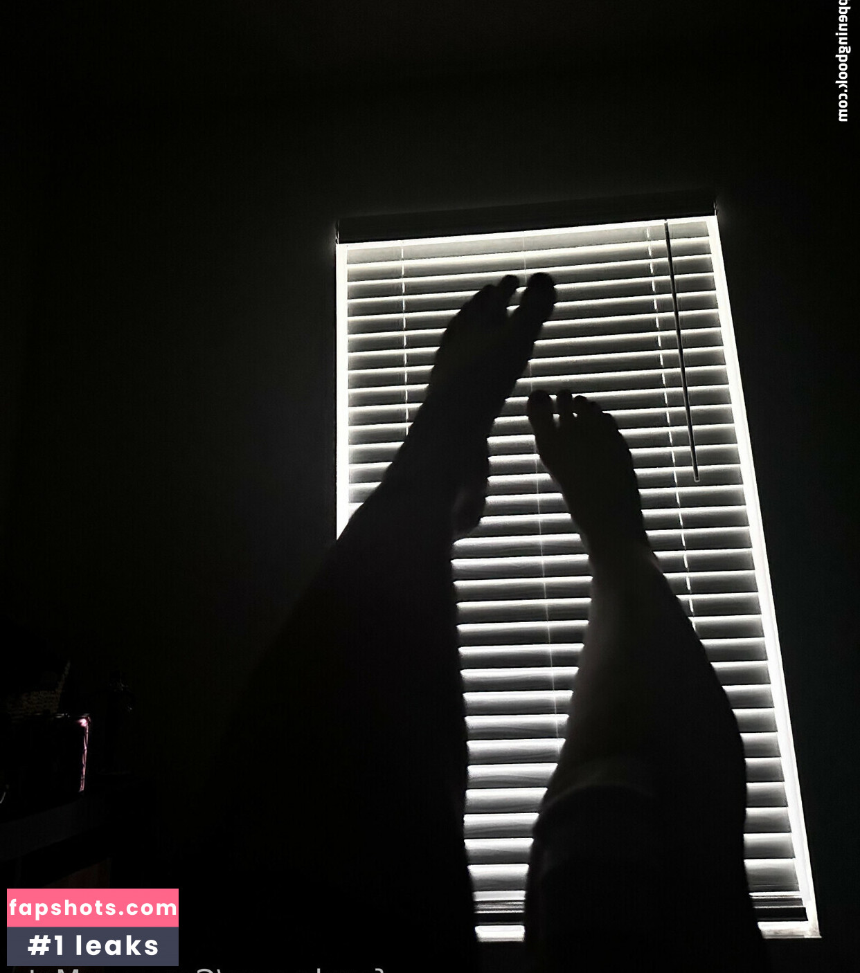 Initialelon gallery photo #11