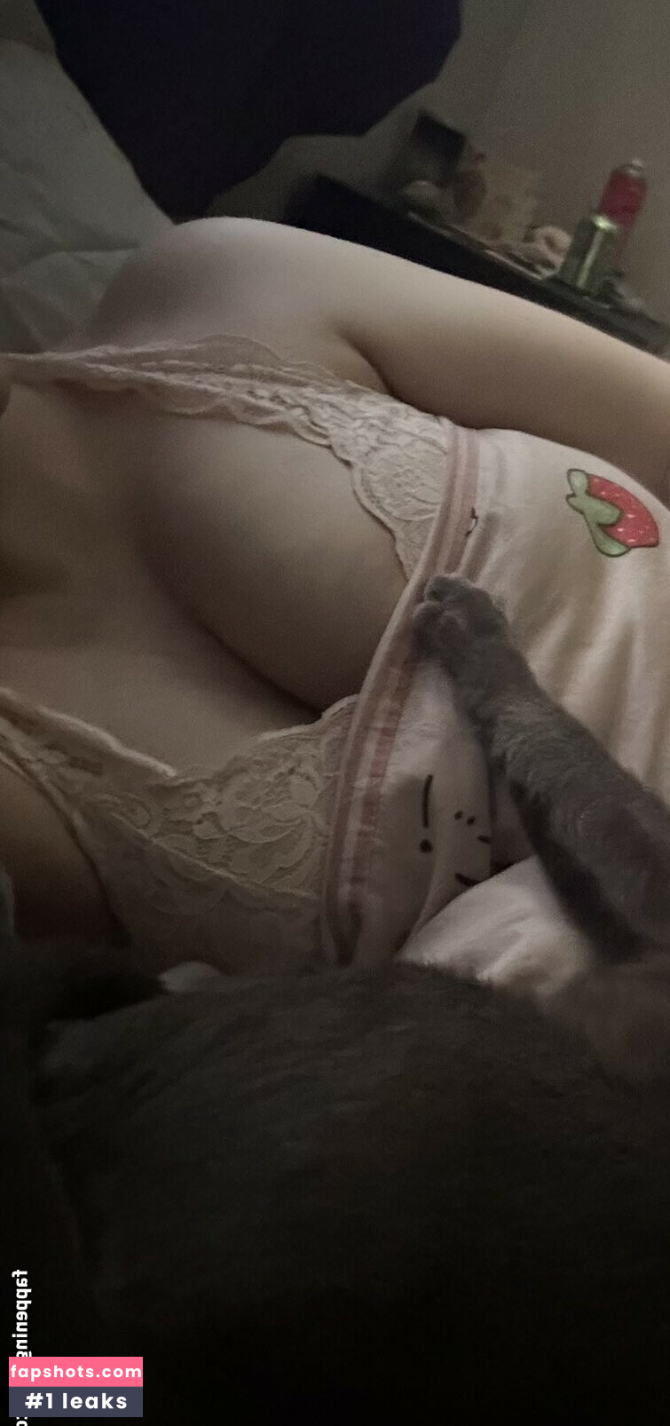 Initialelon gallery photo #26