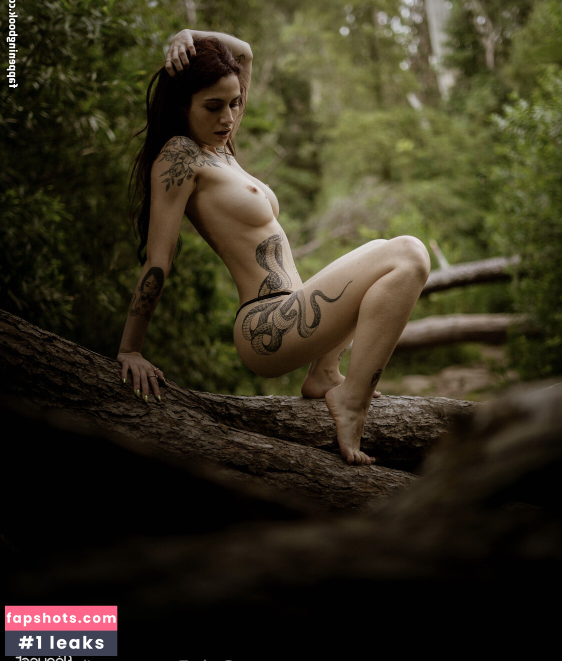 inseniity gallery photo #7