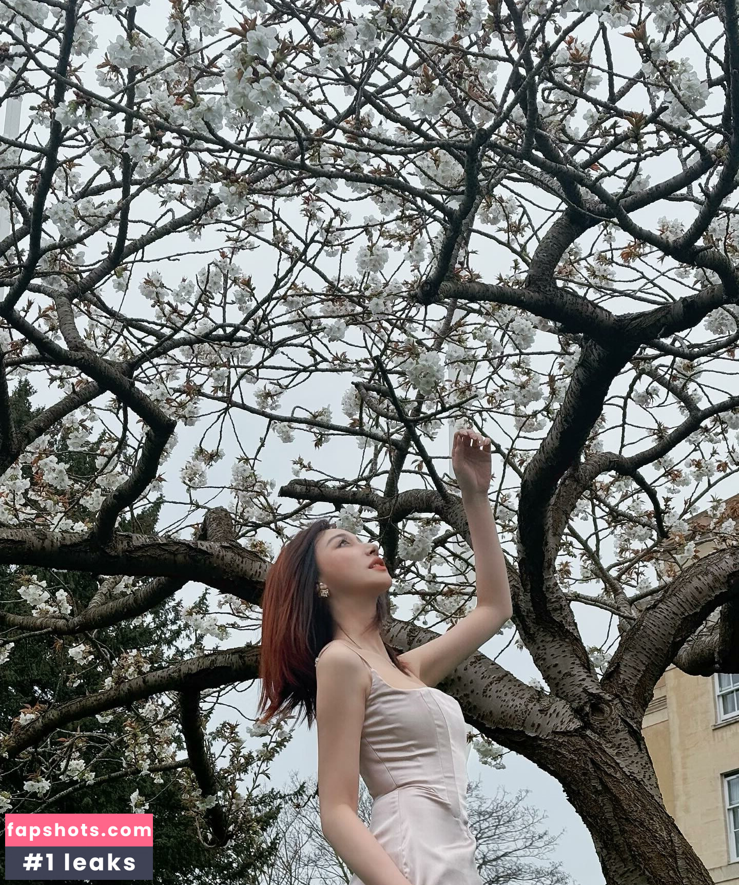 映雪Inshy gallery photo #7