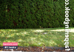 intoxikaite Nude Leaks OnlyFans Photos #4 - LeakJerk