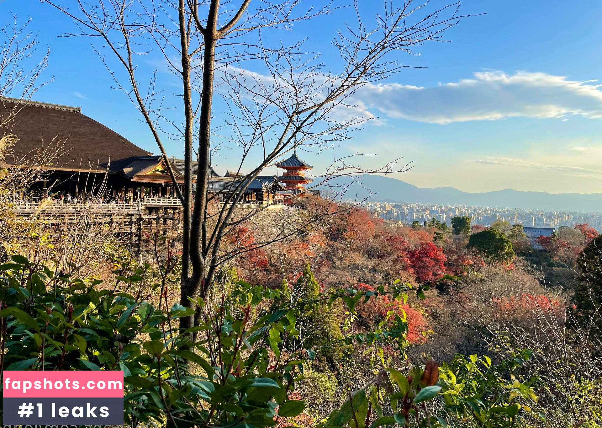 iorin gallery photo #15