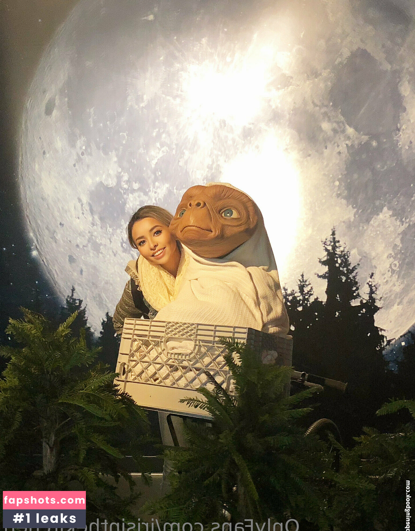 irisinthekitchen gallery photo #35