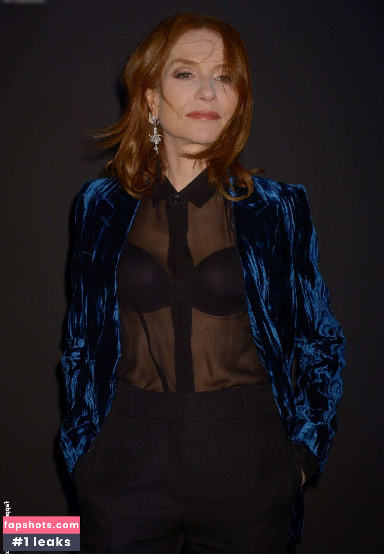 Isabelle Huppert gallery photo #3