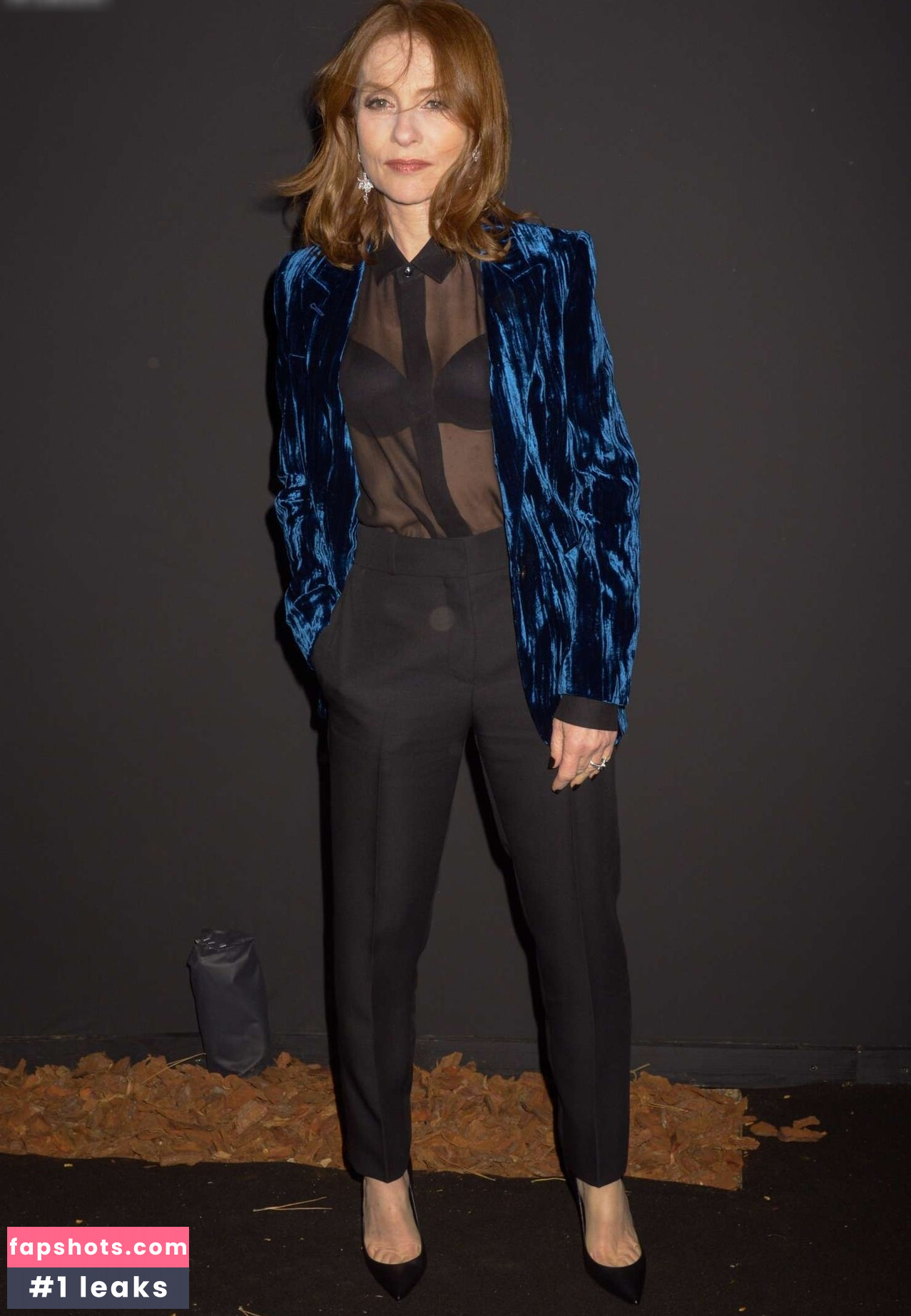 Isabelle Huppert gallery photo #5