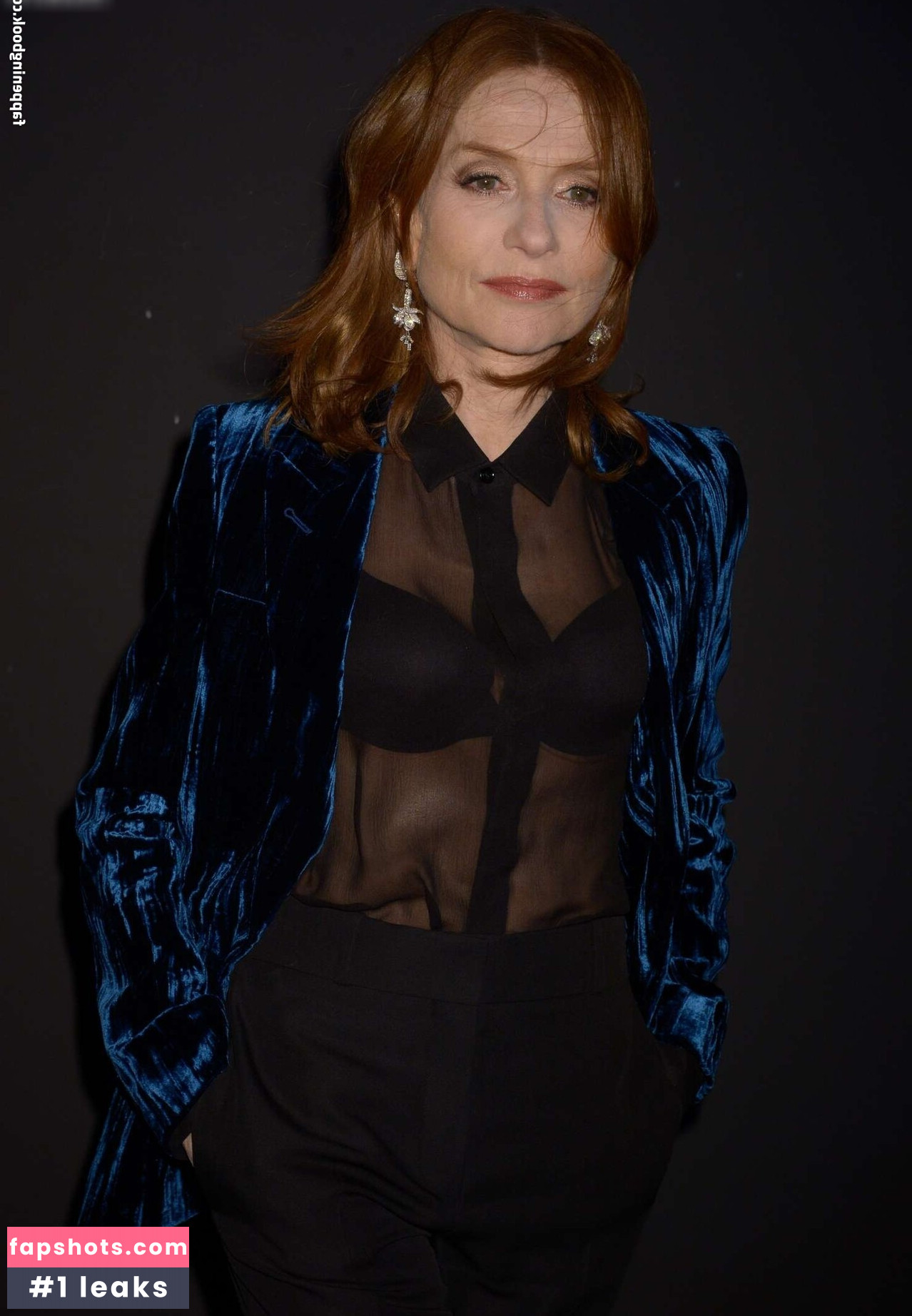 Isabelle Huppert gallery photo #6
