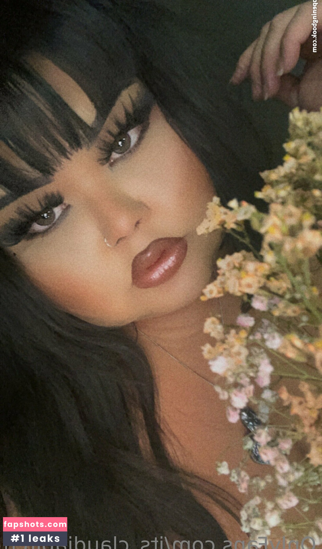 its_claudiabitch Nacktheit OnlyFans Fotos #22 - Fapshots