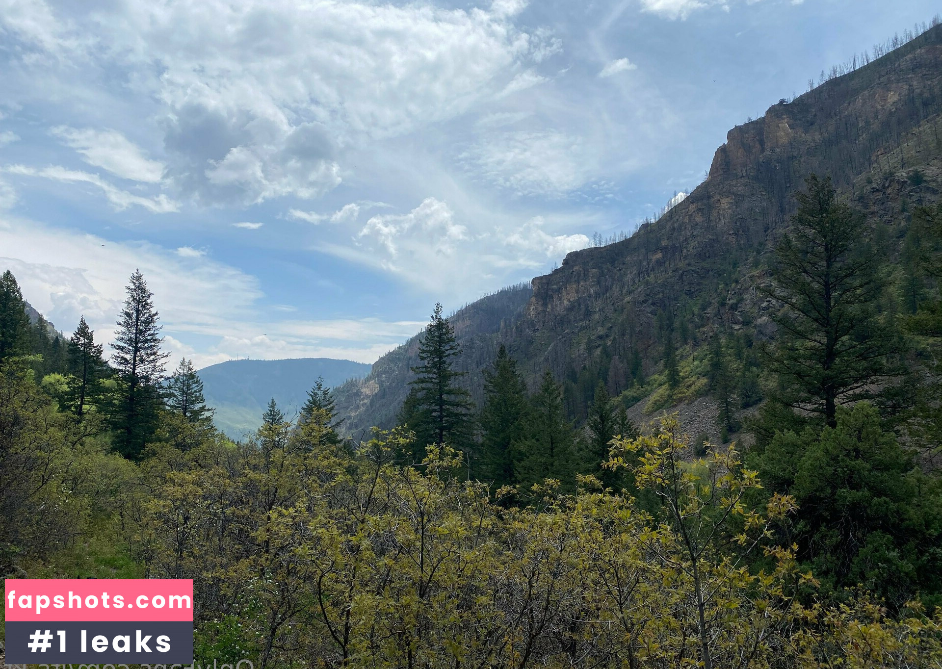 its-kt gallery photo #10