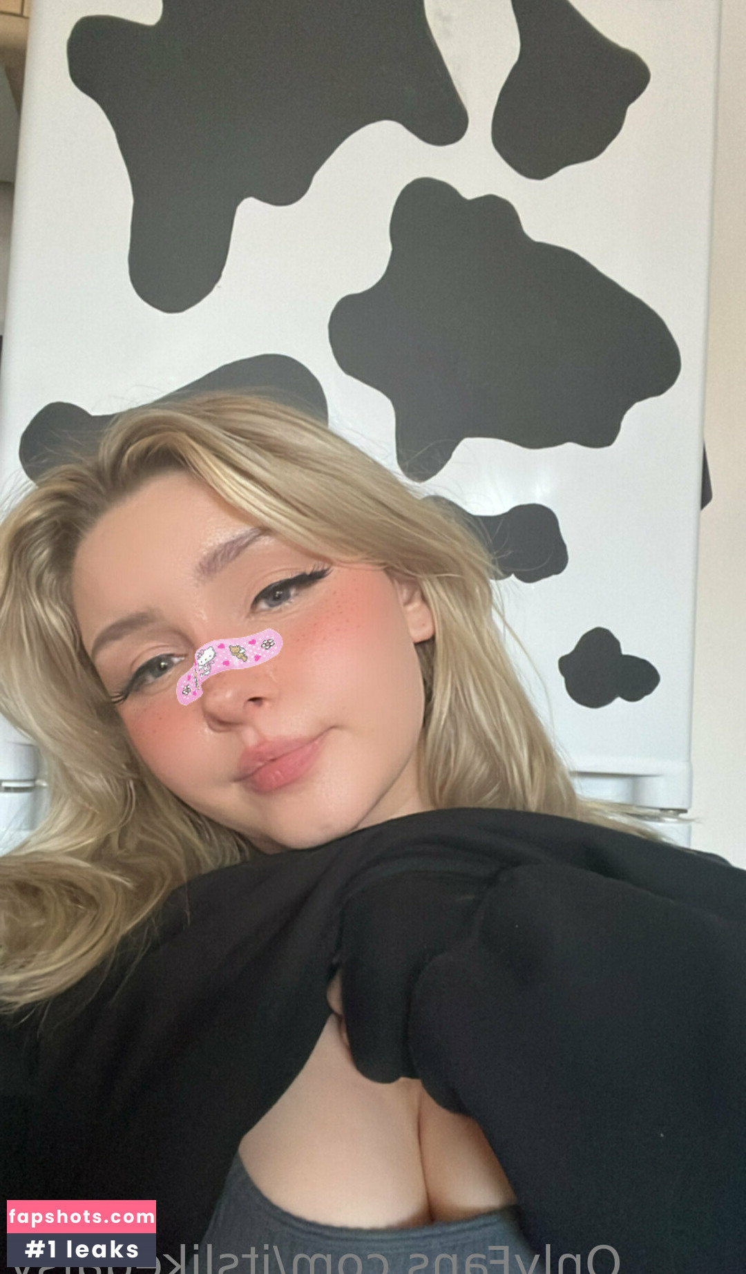 itslikedaisy gallery photo #17