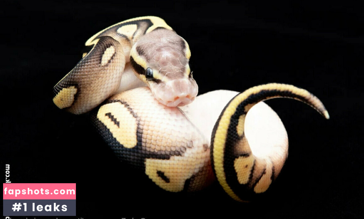 itsmekarminjayde gallery photo #19