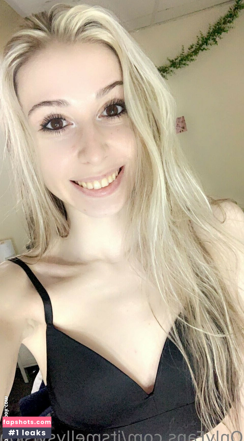 itsmellyvision gallery photo #4