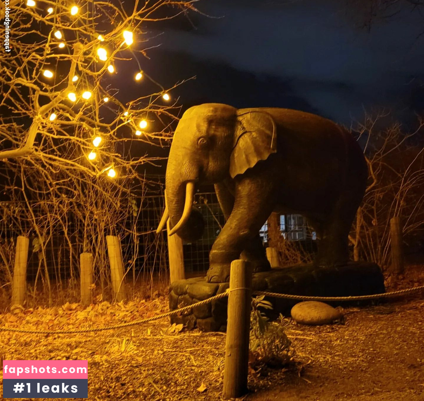 Ivory Ray gallery photo #75