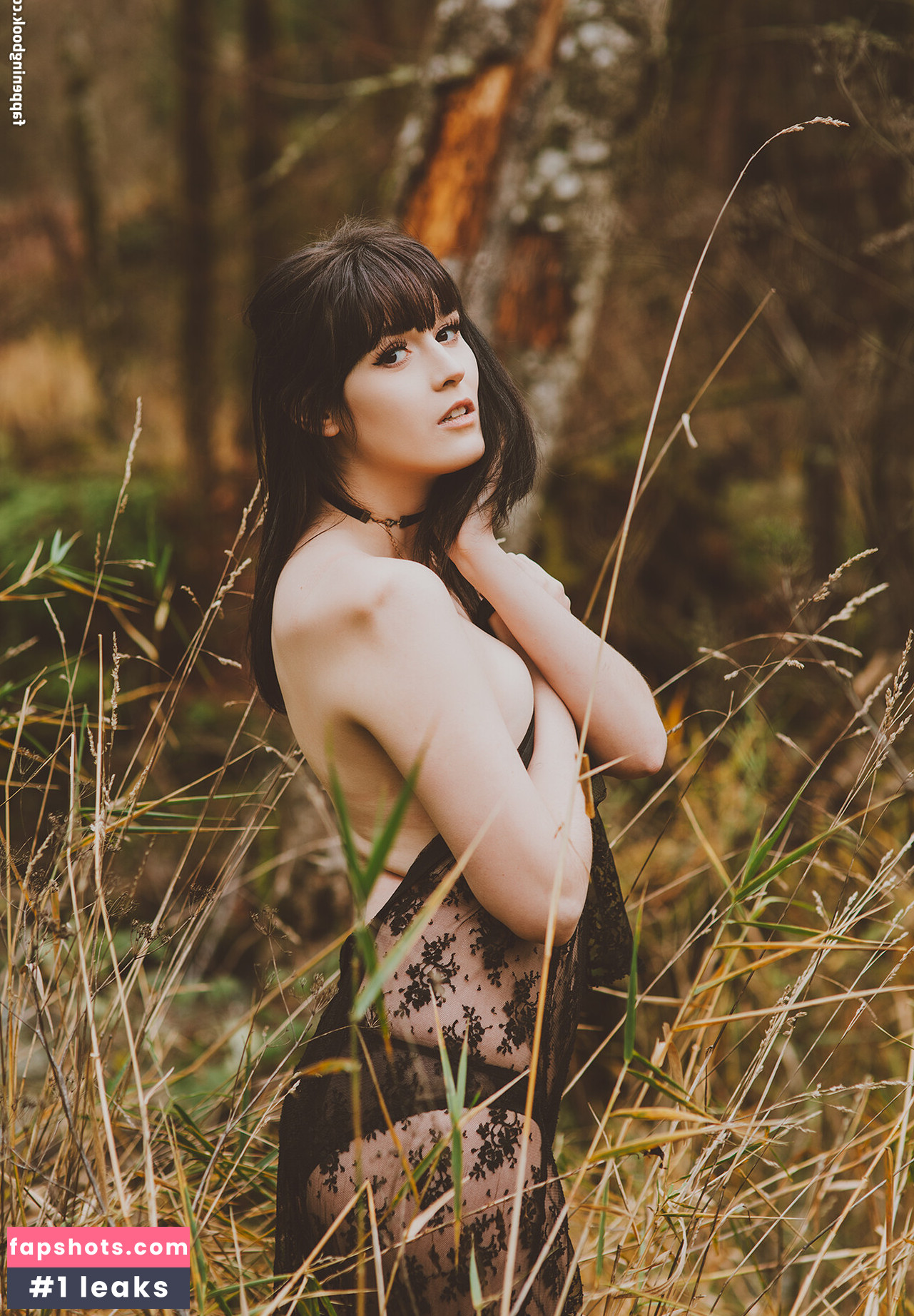 Ivy Aura Nymphfern gallery photo #50