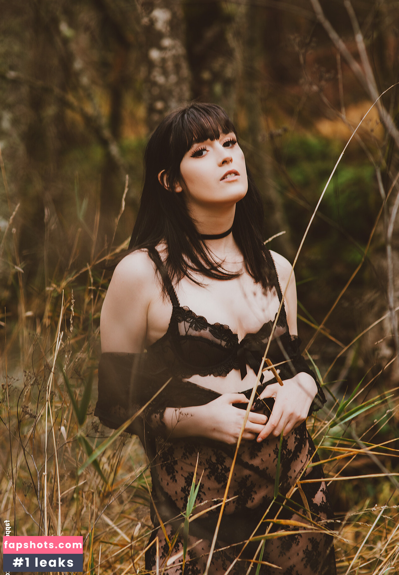 Ivy Aura Nymphfern gallery photo #57