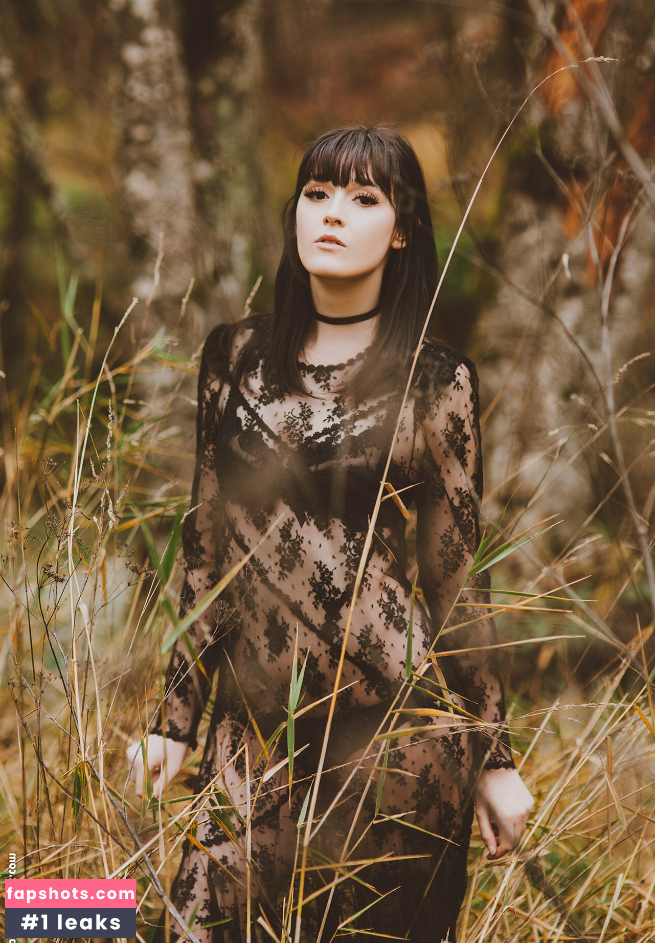 Ivy Aura Nymphfern gallery photo #60