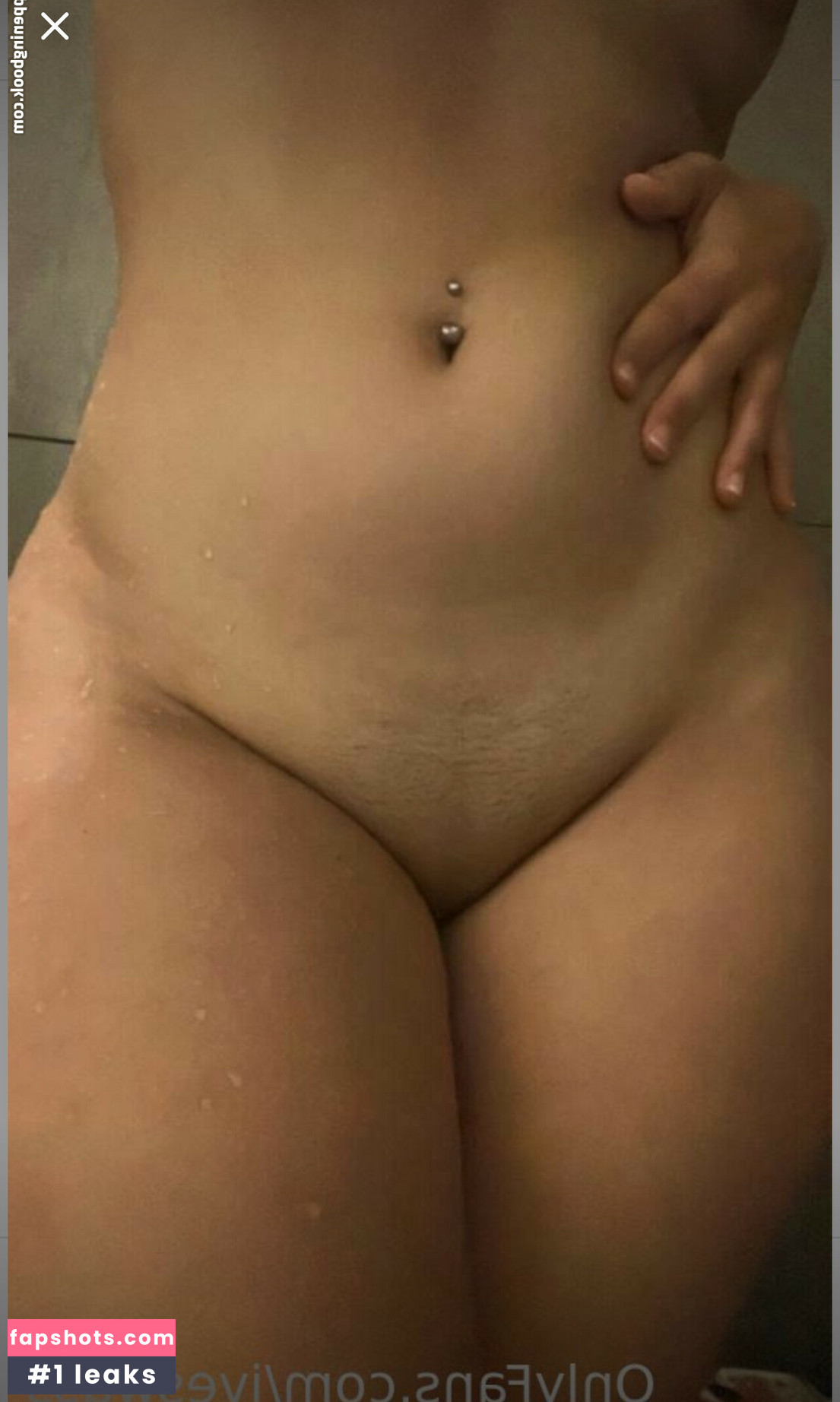 Ivyroz gallery photo #17