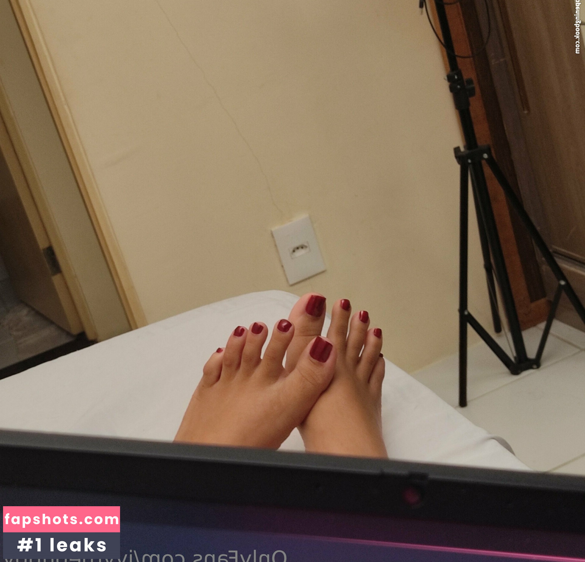 ivythepuppy gallery photo #29