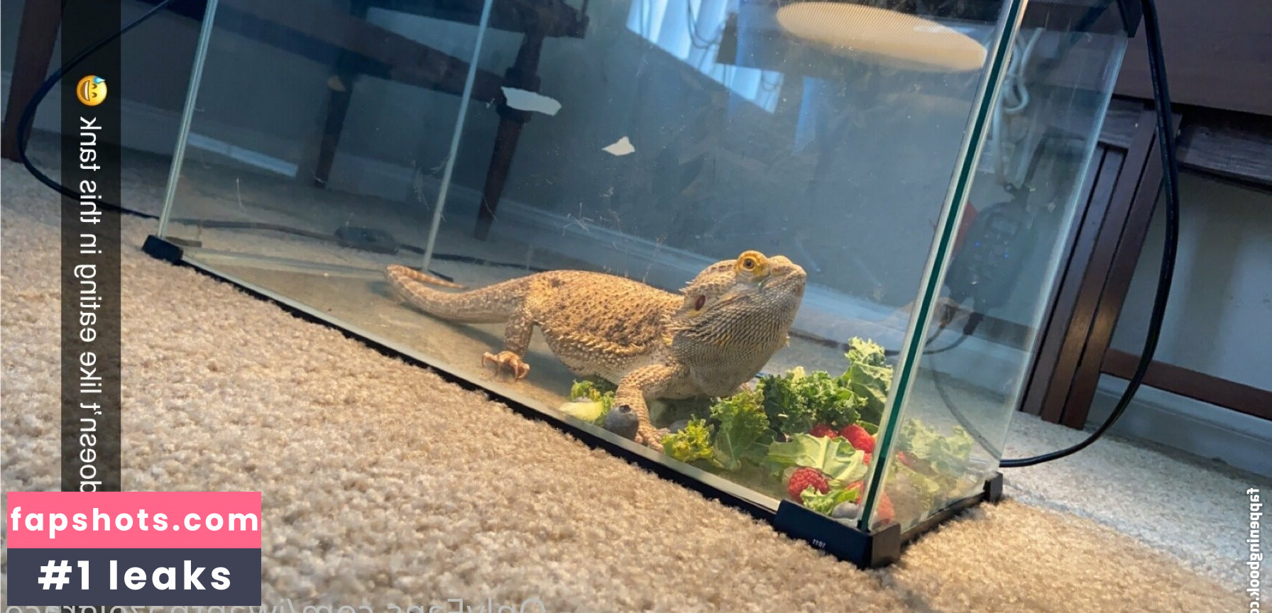 iwanthazelgrace gallery photo #22