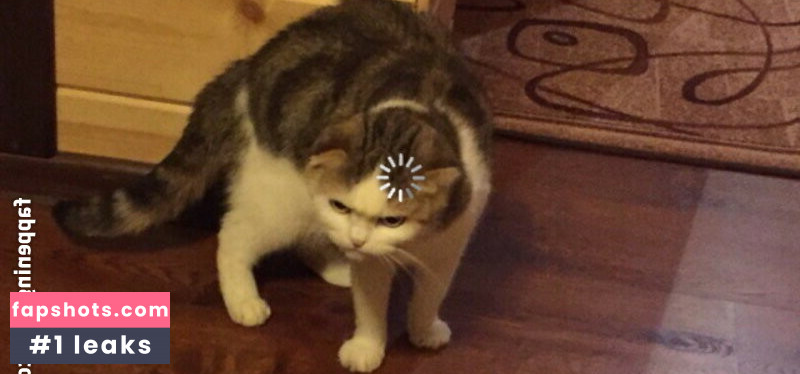 iwantnicethings gallery photo #72