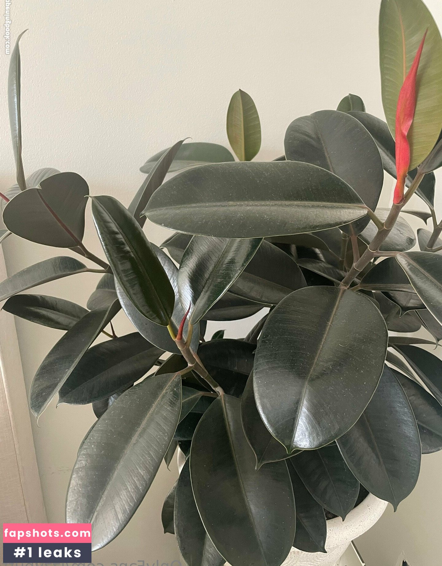 izzybutt gallery photo #8