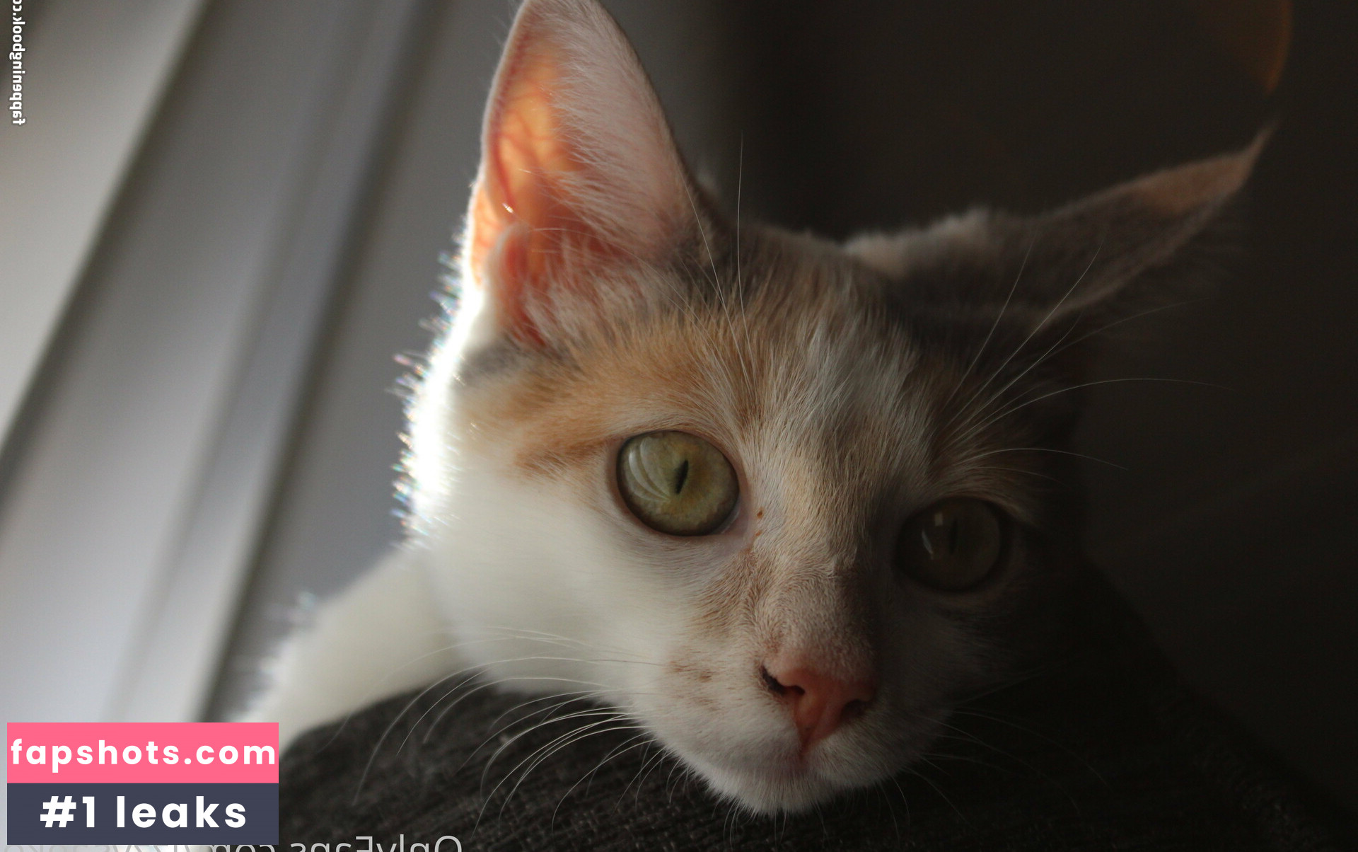 izzysaeko gallery photo #8