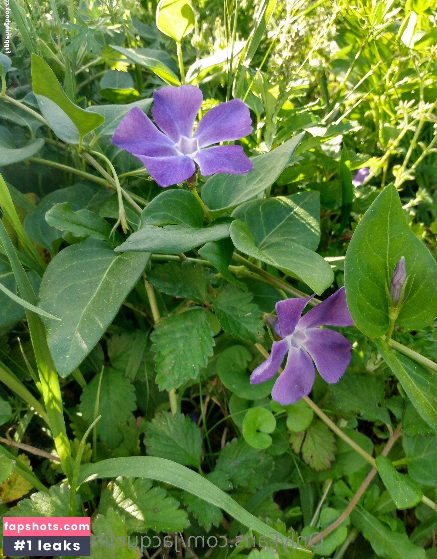 jacquelinestone56 Nude Leaks OnlyFans Photos #5 - LeakJerk