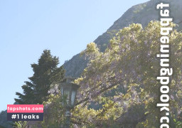 Jacquie Et Michel gallery photo #15