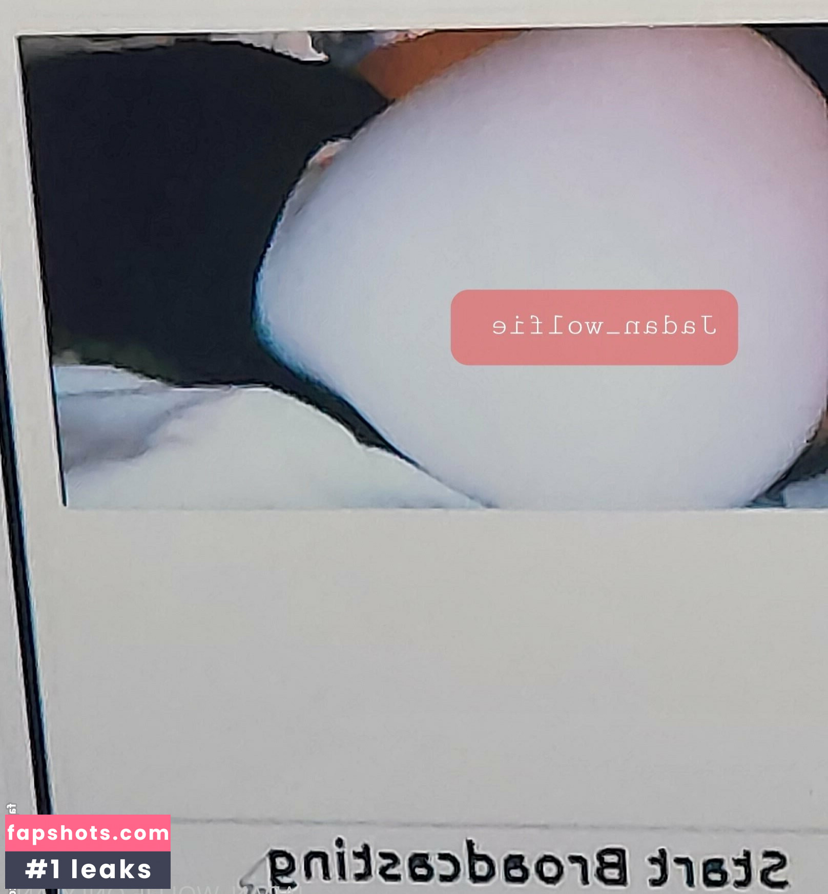 Jadan Wolfie gallery photo #39