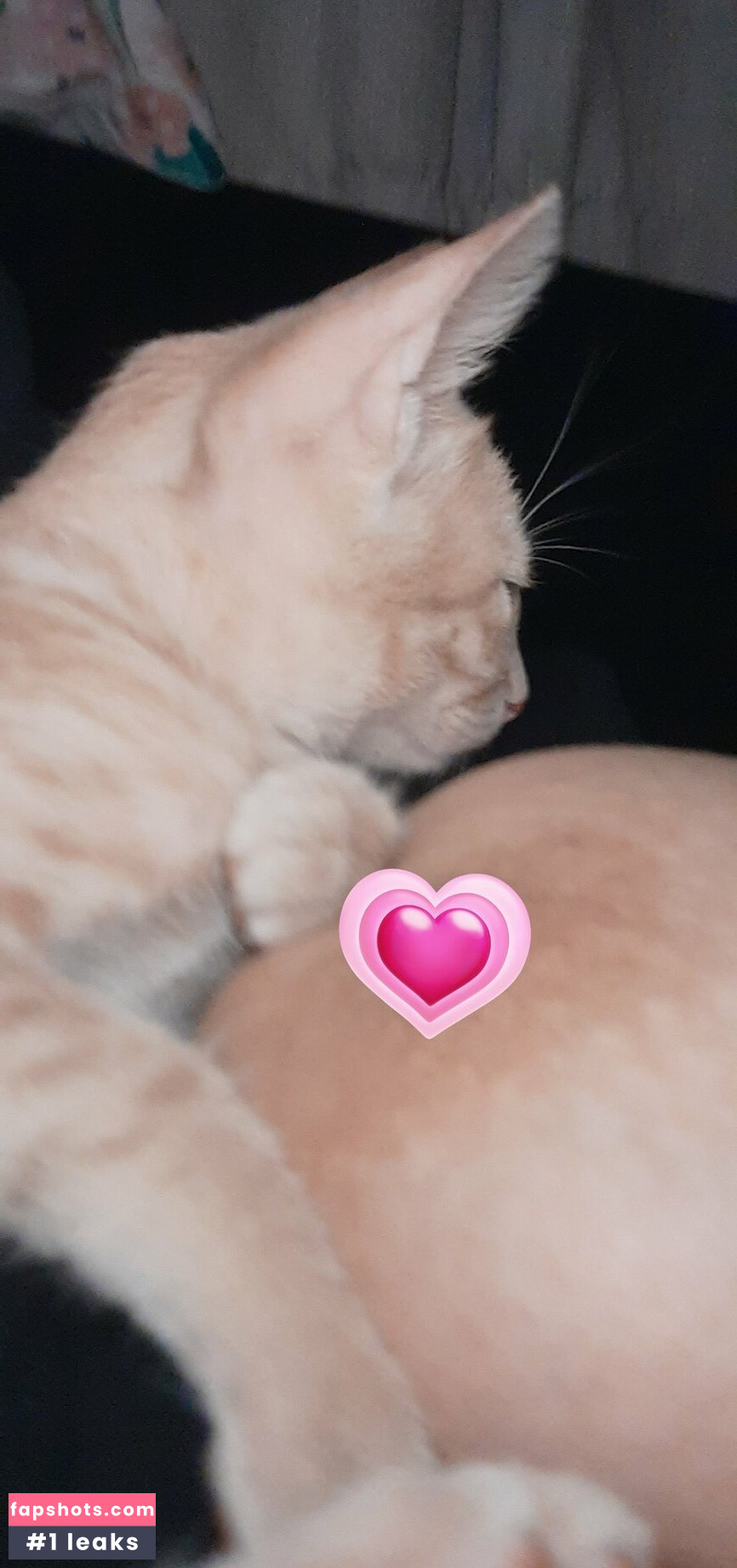 Jadeackerman gallery photo #3