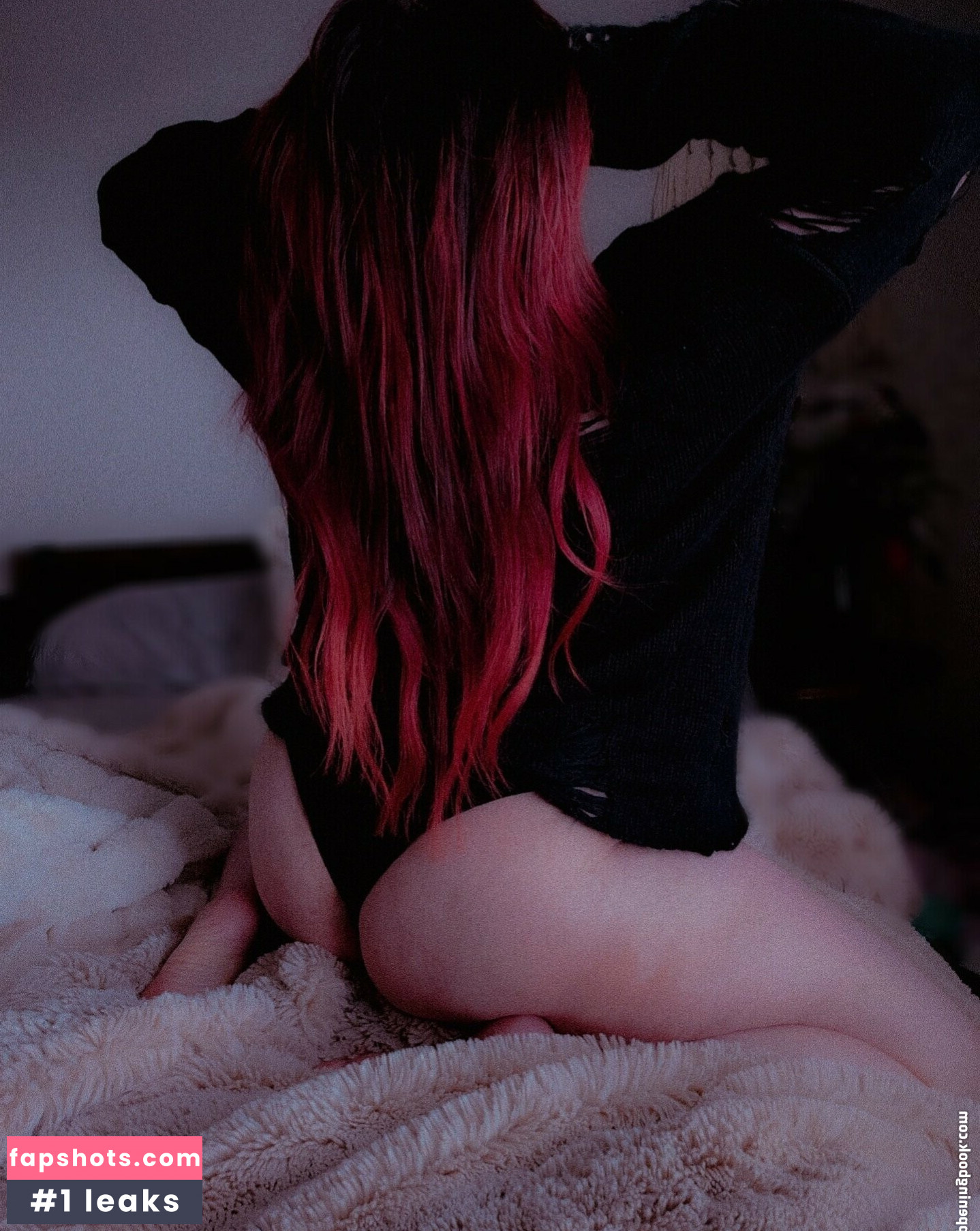 Jambooble gallery photo #17