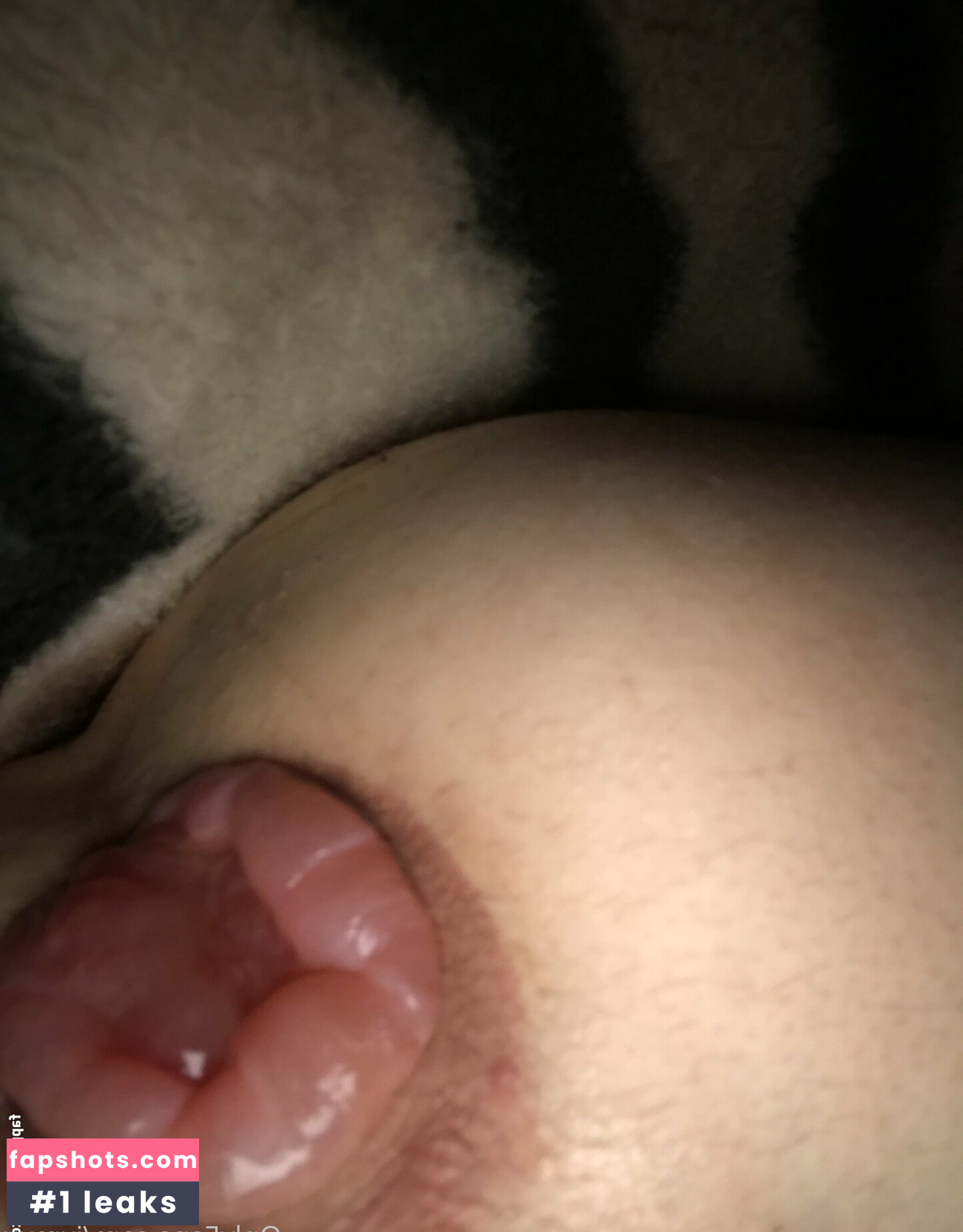 jamtom gallery photo #5