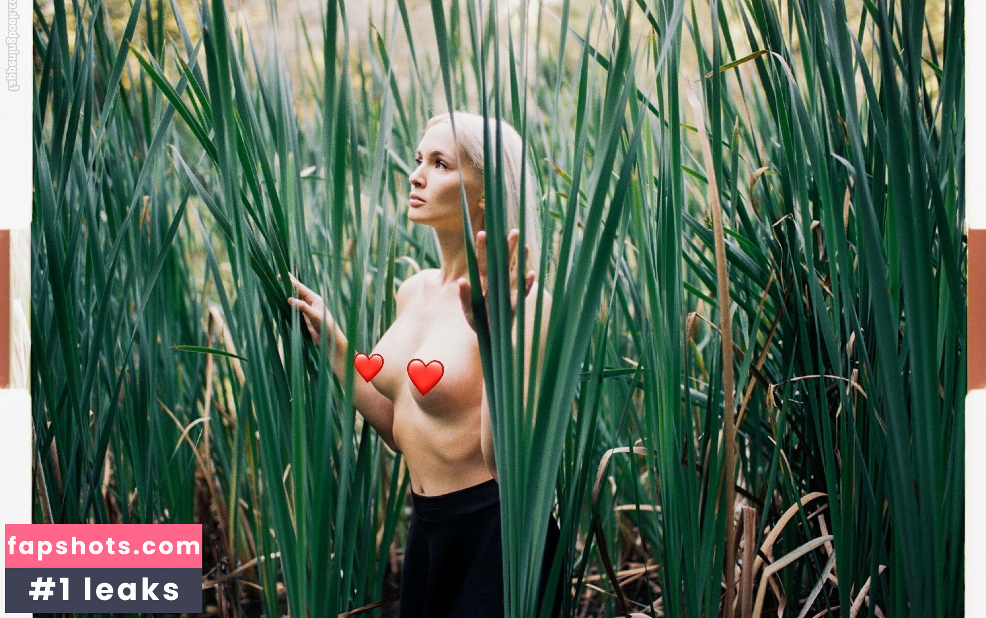 Jane Wild gallery photo #7