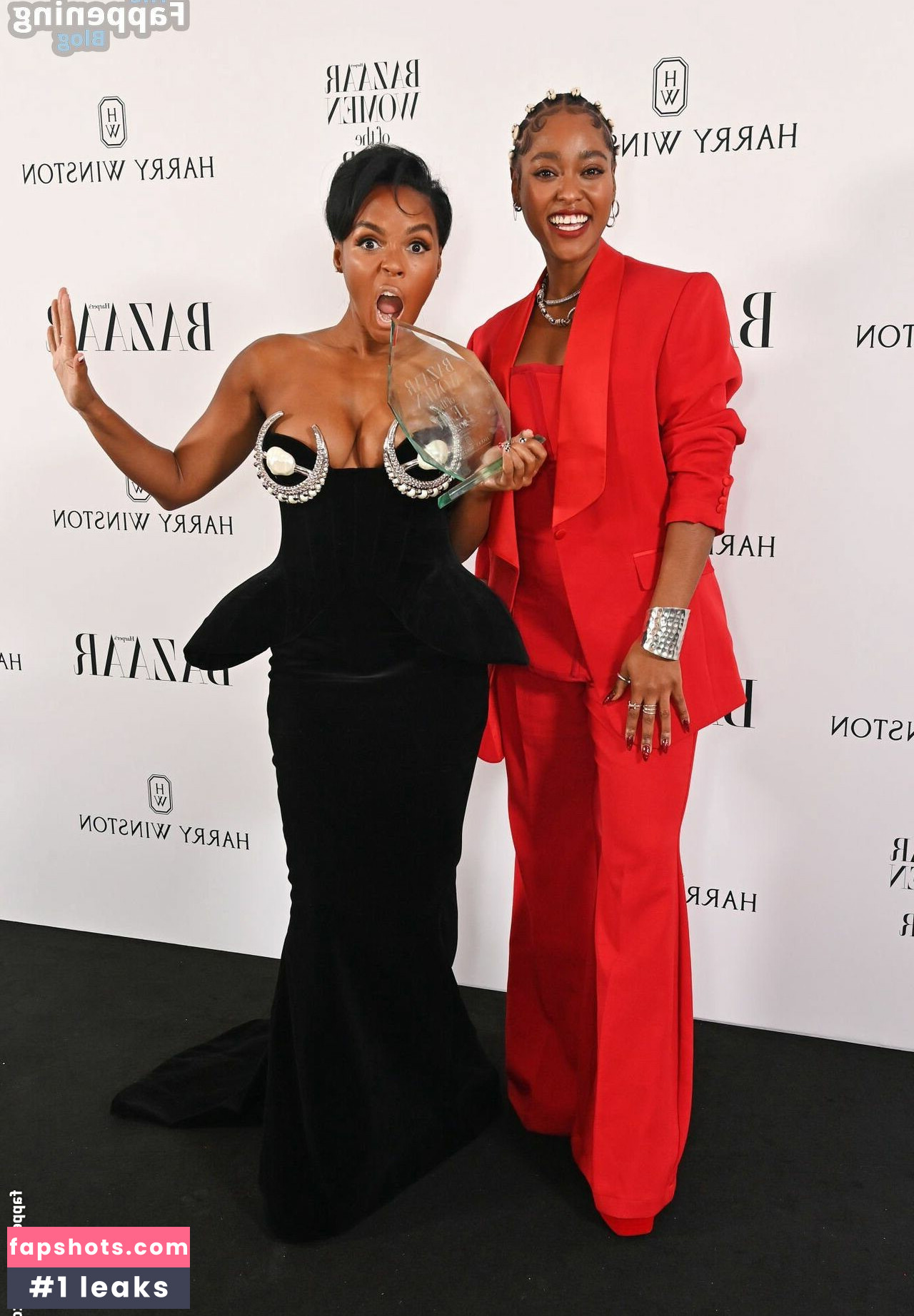 Janelle Monáe gallery photo #178