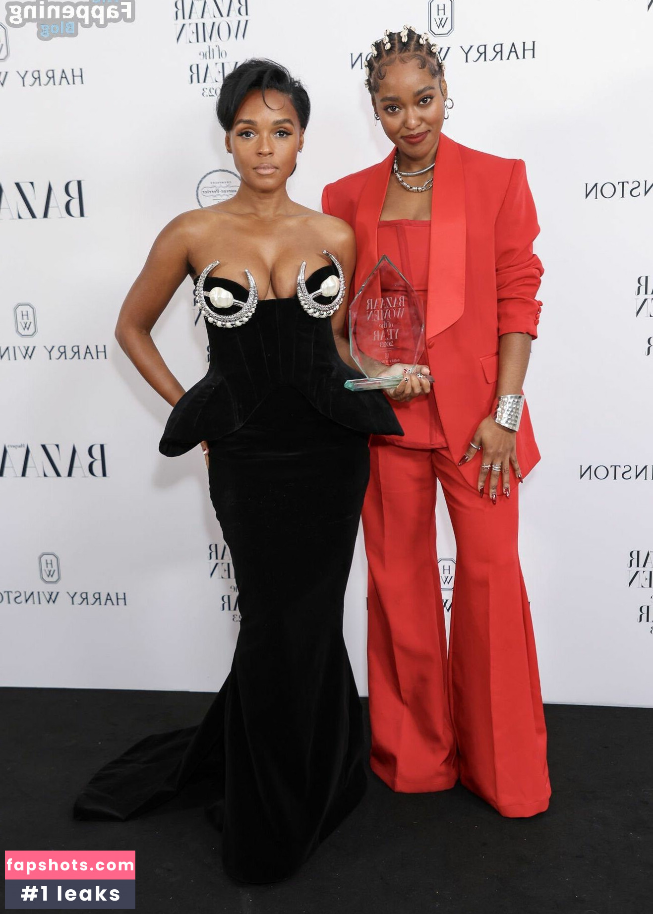 Janelle Monáe gallery photo #179