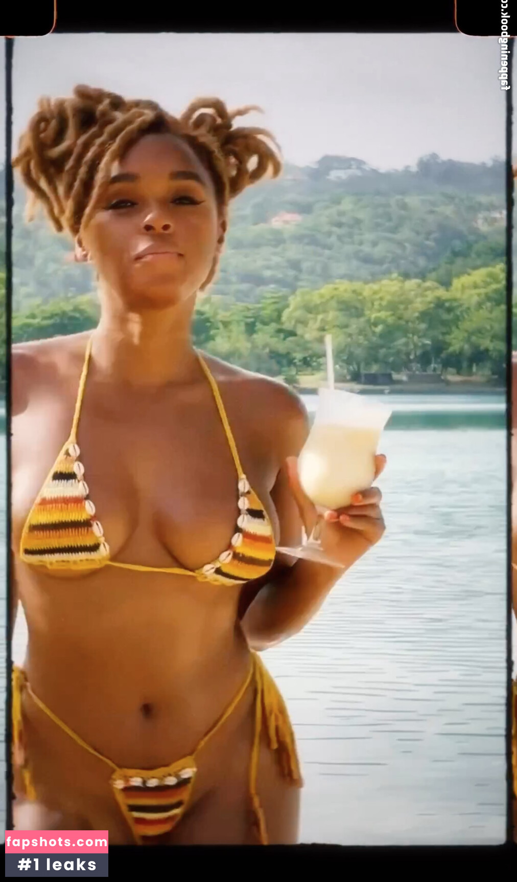 Janelle Monáe gallery photo #242