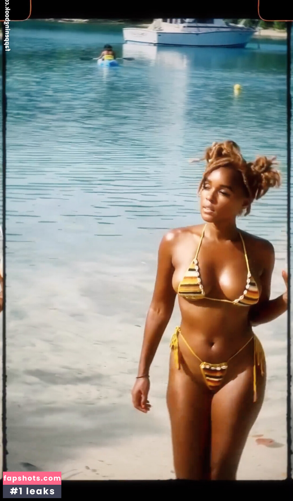 Janelle Monáe gallery photo #244