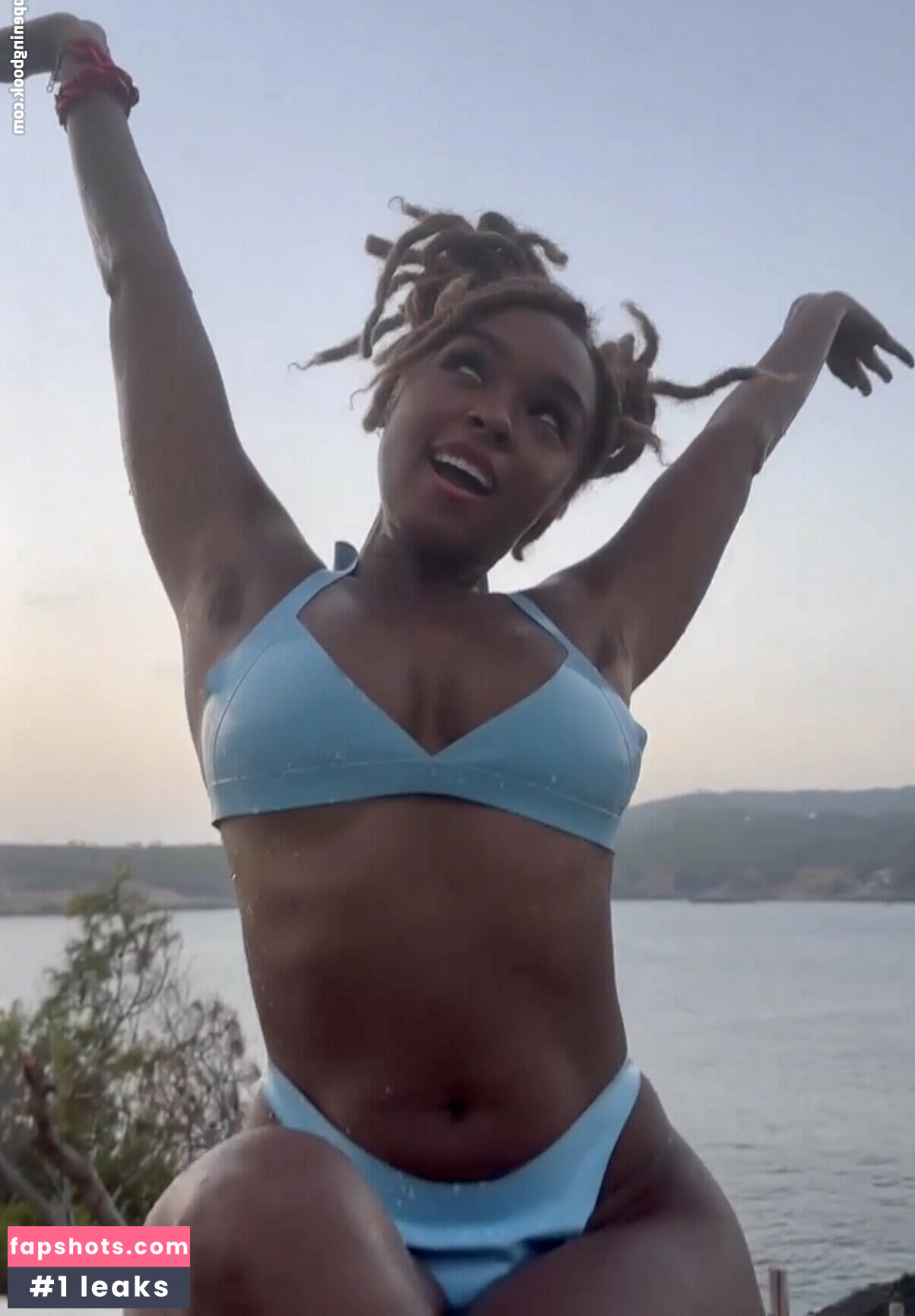 Janelle Monáe gallery photo #266