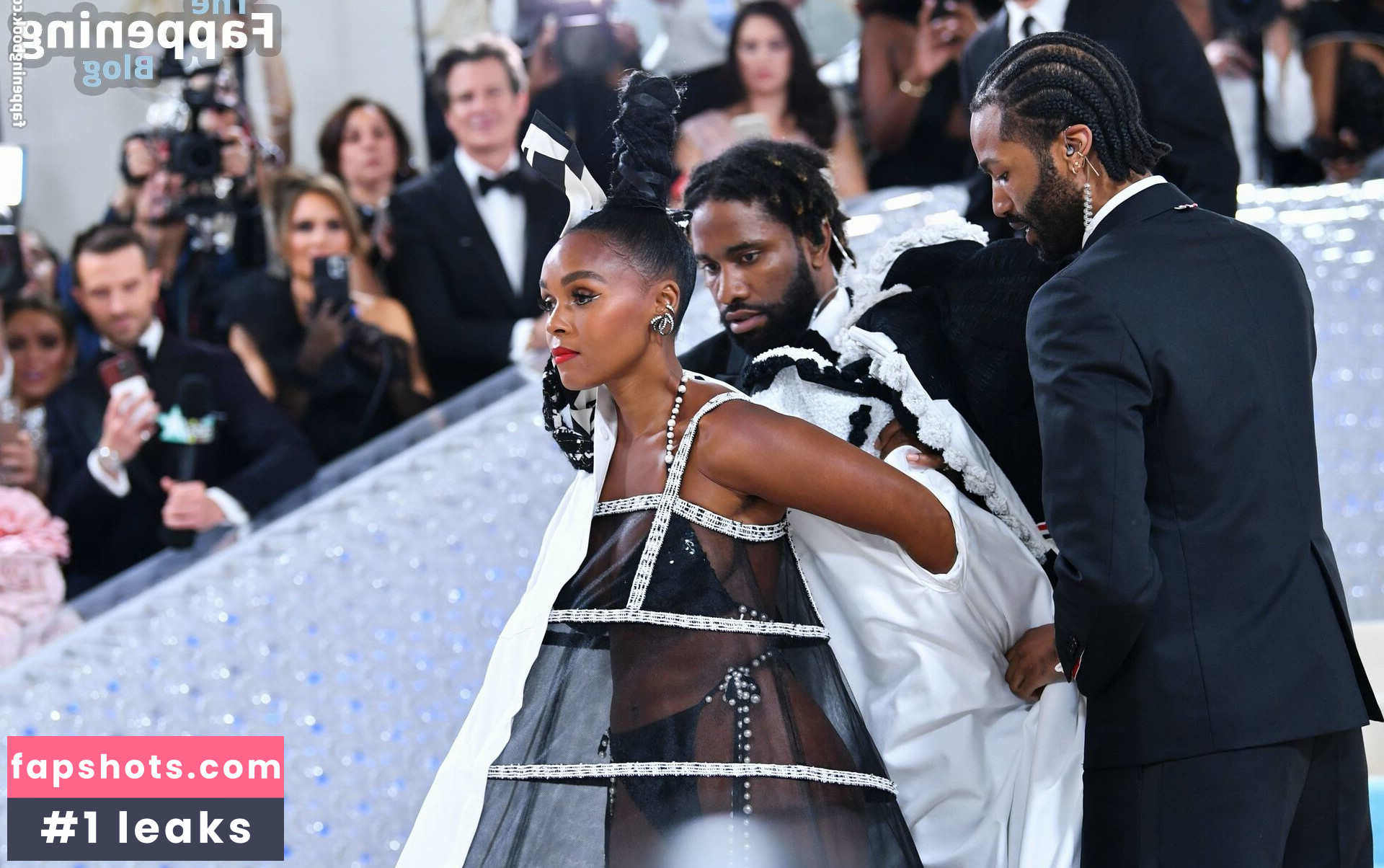 Janelle Monáe gallery photo #332